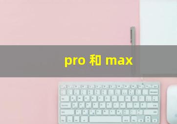 pro 和 max